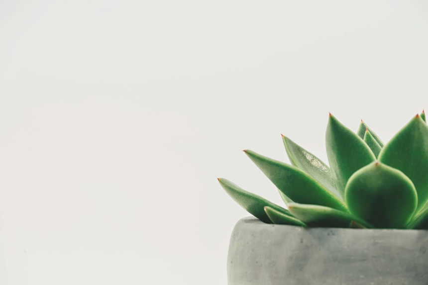 What is Digital Minimalism?